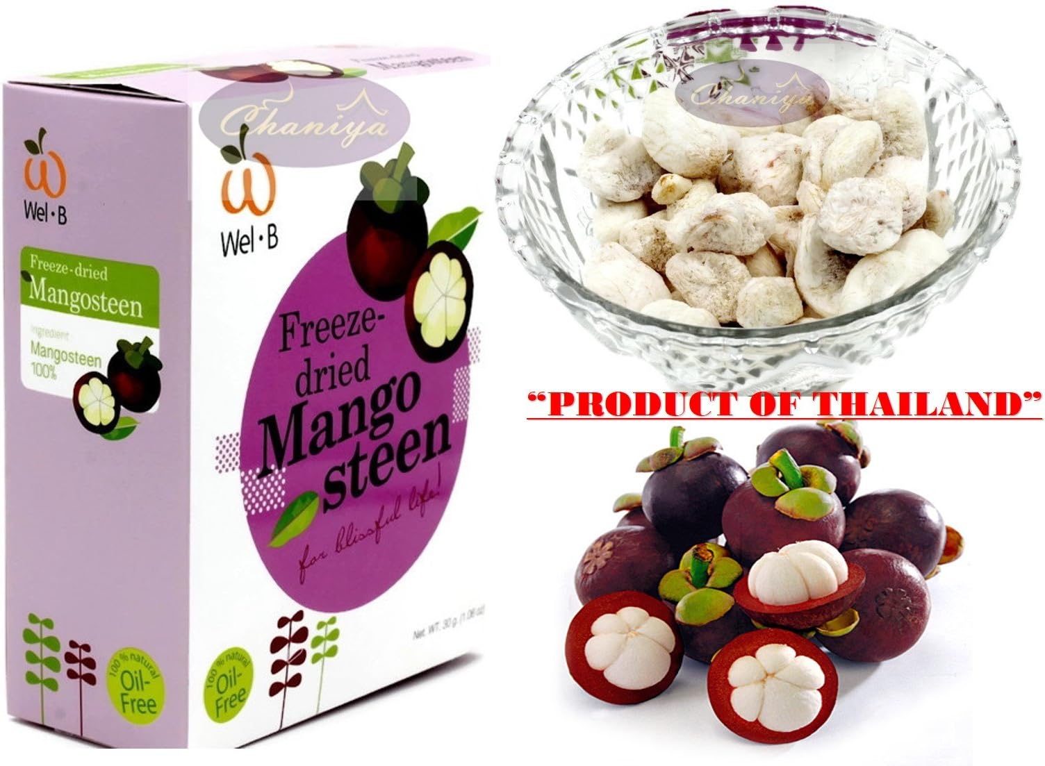 Crispy Freeze dried Fruit Mango Steen "The Queen of Fruit" Healthy Snack 100% all Natural Oil-Free 1 Box 30 g. (1.06 Oz)