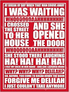 Metal Sign Plaque Print Poster Stoke Why Why Why Delilah Song Lyrics Fan Chant Football Gift Dad Man Cave Shed Home Bar Ref7080 (10x8 inches (Approx) 25cmx20cm)