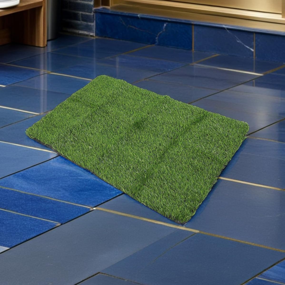CLISPEED Lot de 2 Tapis de Porte en Pelouse Artificielle 50X80 CM pour Entrée et Cour Usage Intérieur et Extérieur