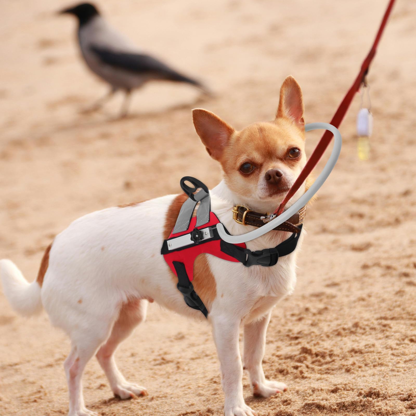 ULTECHNOVO Collier pour Chien Aveugle Rouge en Polyester Léger Protection Anti-Collision et Facile à Utiliser pour Navigation Extérieure Sécurisée