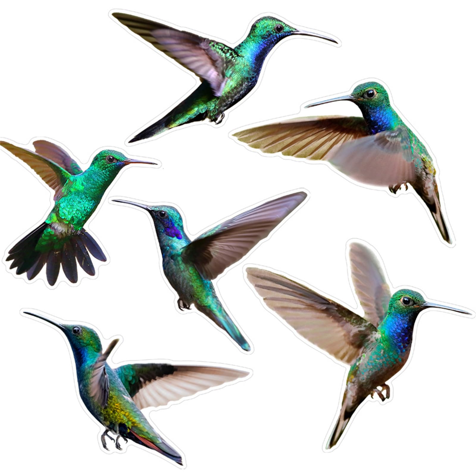 sodeber Stylishs Bird Friendly Window Stickers AntiCollision Cling Decals for Glass Bird Warning Stickers Accent