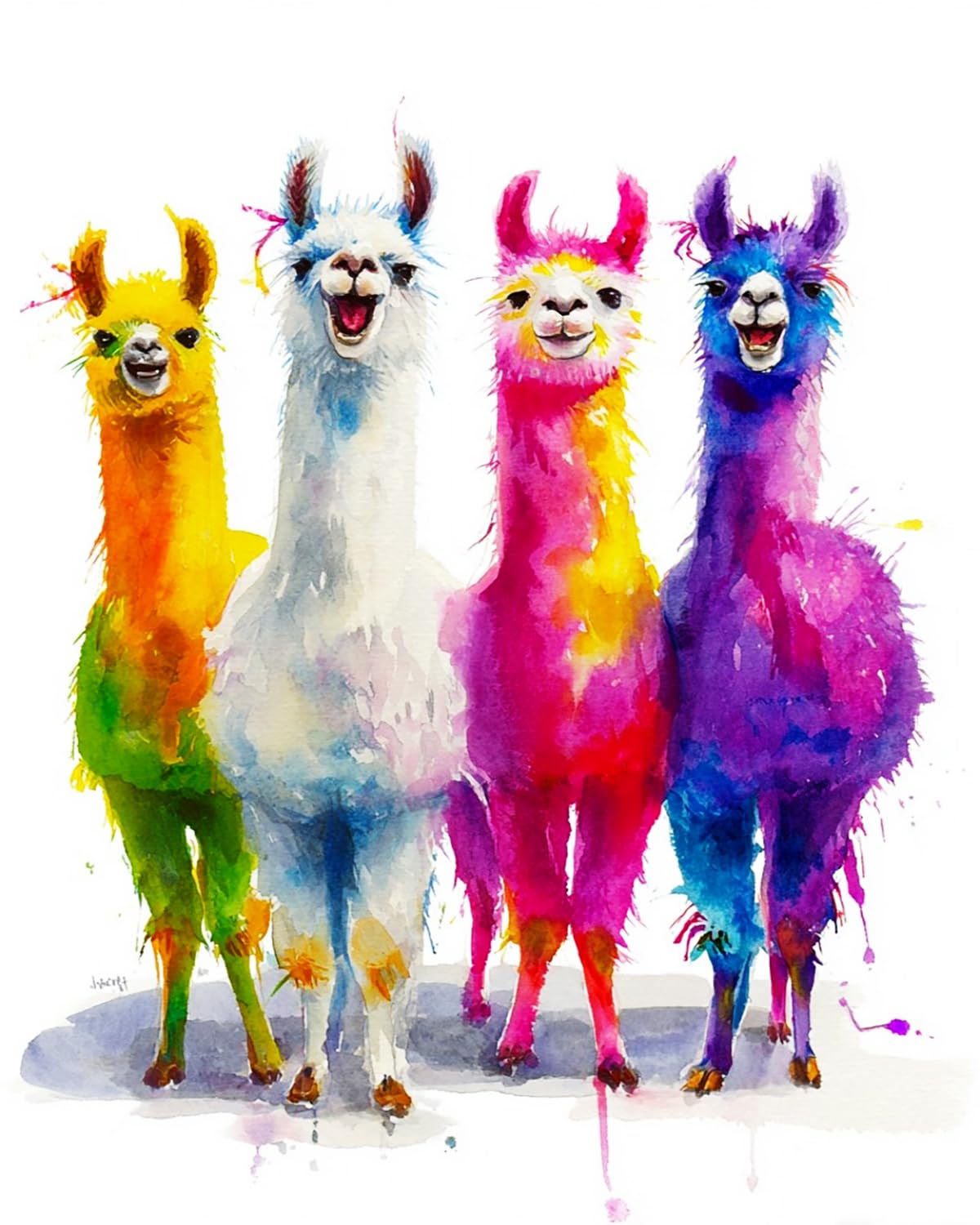 Liubaishi Multicolour Paint By Numbers For Adults, Rainbow Alpaca Quartet, 16X20 Inch Acrylic Canvas Kit With Brushes And Paints