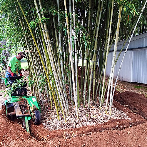 Bamboo Shield - 50 feet Long x 24 inch x 60 mil - Bamboo Root Barrier/Water Barrier