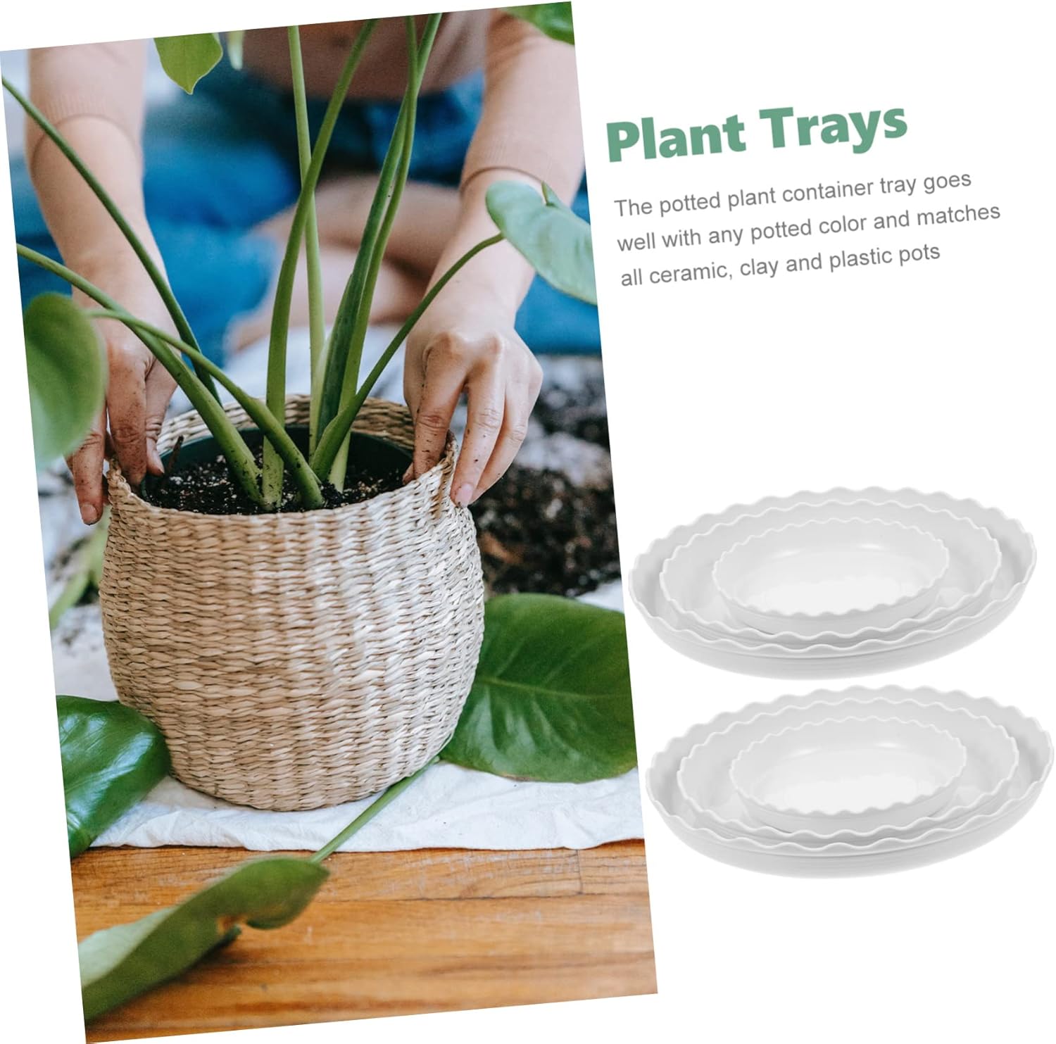 12pcs Plant Pot Drainage Trays Round Plant Saucers Non-Slip Base for Pots