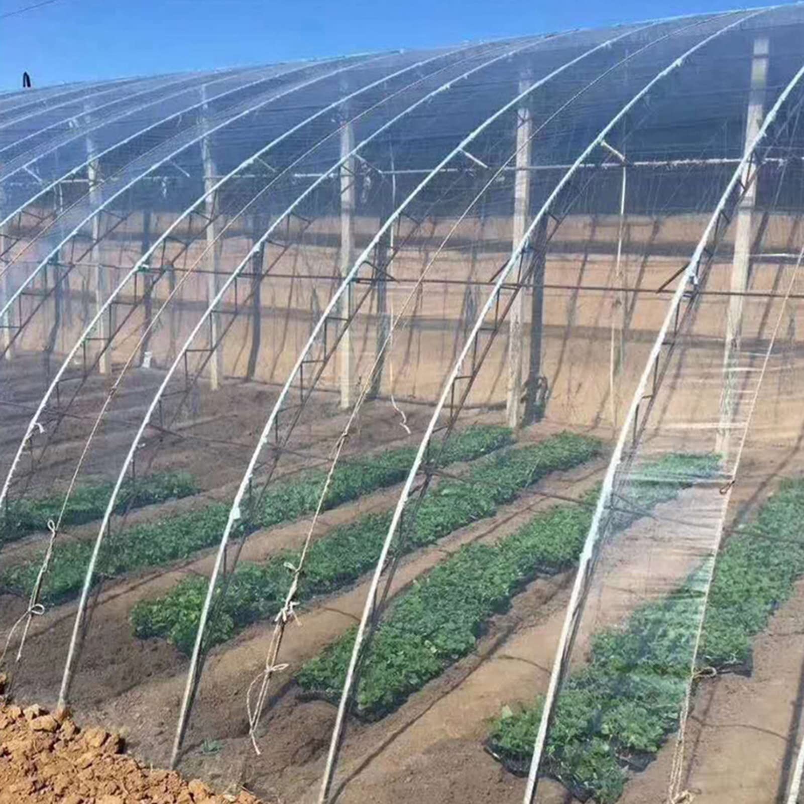 WIGING Película Plástica De Invernadero, Cubierta Vegetal De Invernadero De Polietileno, Placa Térmica De Invernadero Resistente A Los Rayos Ultravioleta para Jardines Hortícolas((WxL) 8x9m)