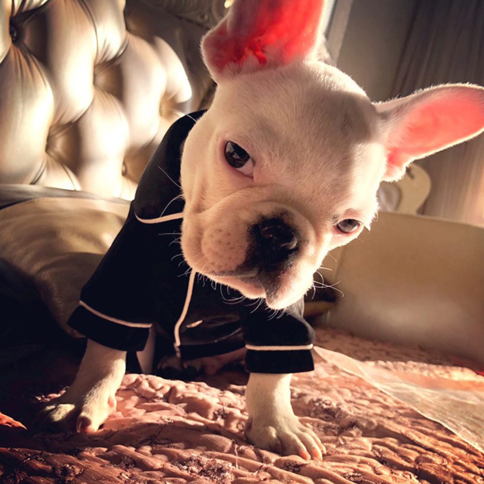 Pyjama enfant avec chien - Canada