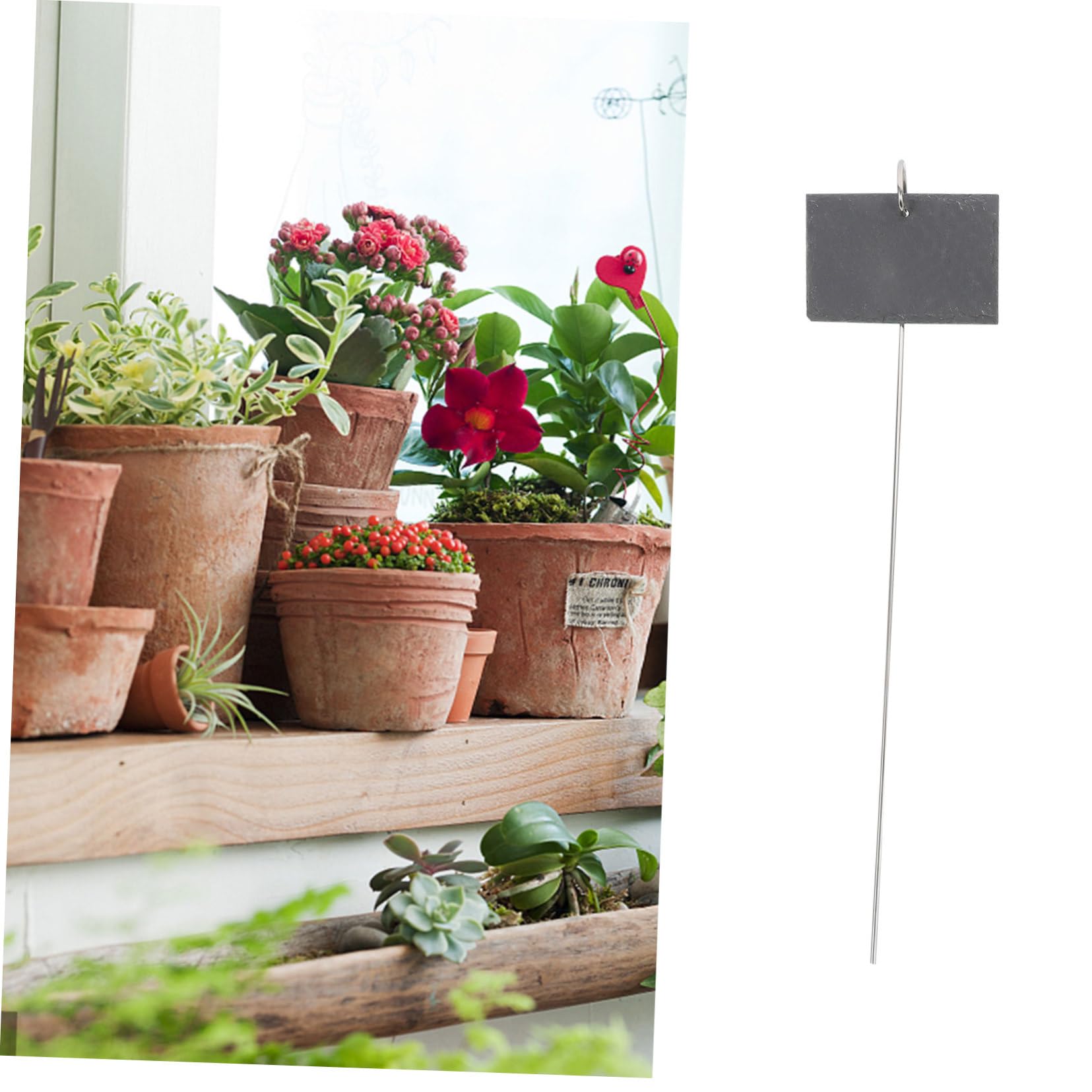 Etiqueta para Plantas de Jardín 1 Juego de Hierro y Piedra Negra