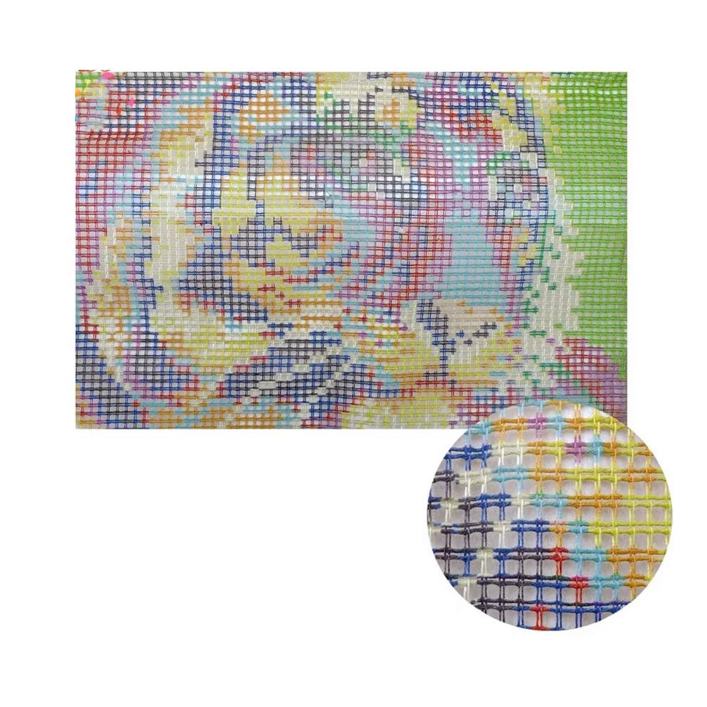 MIAOLLUN Latch Hook Rug Kits for Adults, Latch Hook Kits with Printed Canvas Pattern Embroidery Shaggy Decoration 20.4