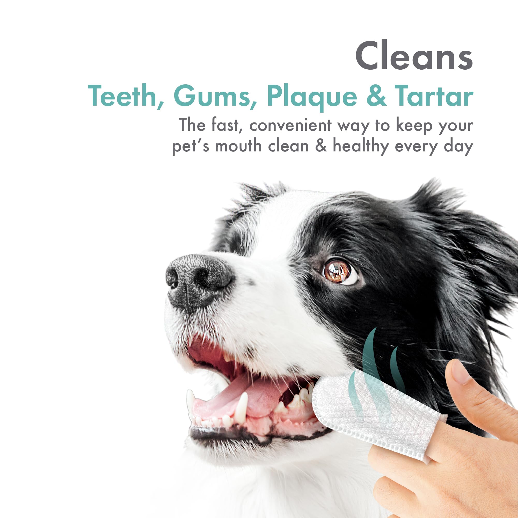 Petkin Fingertip Tooth Wipes for Dogs and Cats, 50 Finger Wipes - Slip-On, Snug Fit, Micro-Bristle Fabric - Cleans Teeth, Gums, Plaque & Tartar - Convenient, Ideal for Home and Travel - Fresh Mint - image 3