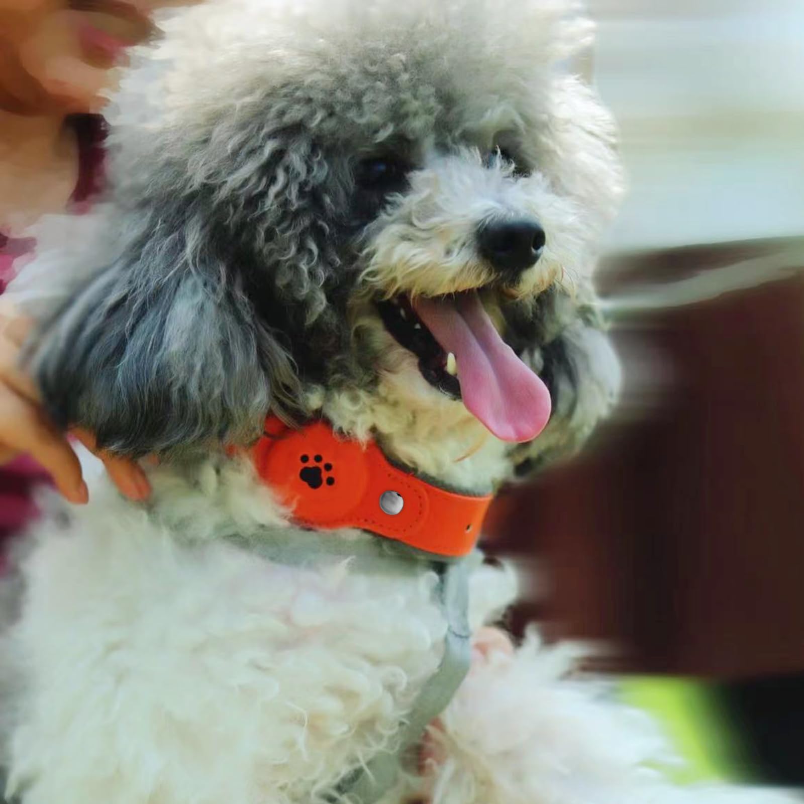 Traqueur GPS pour chiens - Étanche IP67 - Collier intelligent de suivi des animaux de compagnie - Emplacement en temps réel - Sans frais mensuels - Collier de suivi pour chiens de petite, moyenne et