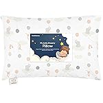 Toddler Pillow with Pillowcase - 13x18 My Little Dreamy Kids Travel Bed Pillows for Sleeping, Organic Cotton Small Pillowcase, Soft & Breathable, Machine Washable, Toddlers 2-5 years old (Escapade)