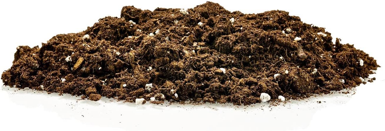 GARDENERA Premium Soil Blend for Money Trees - 4 Quart - Perfect for Growing and Repotting Guiana Chestnut
