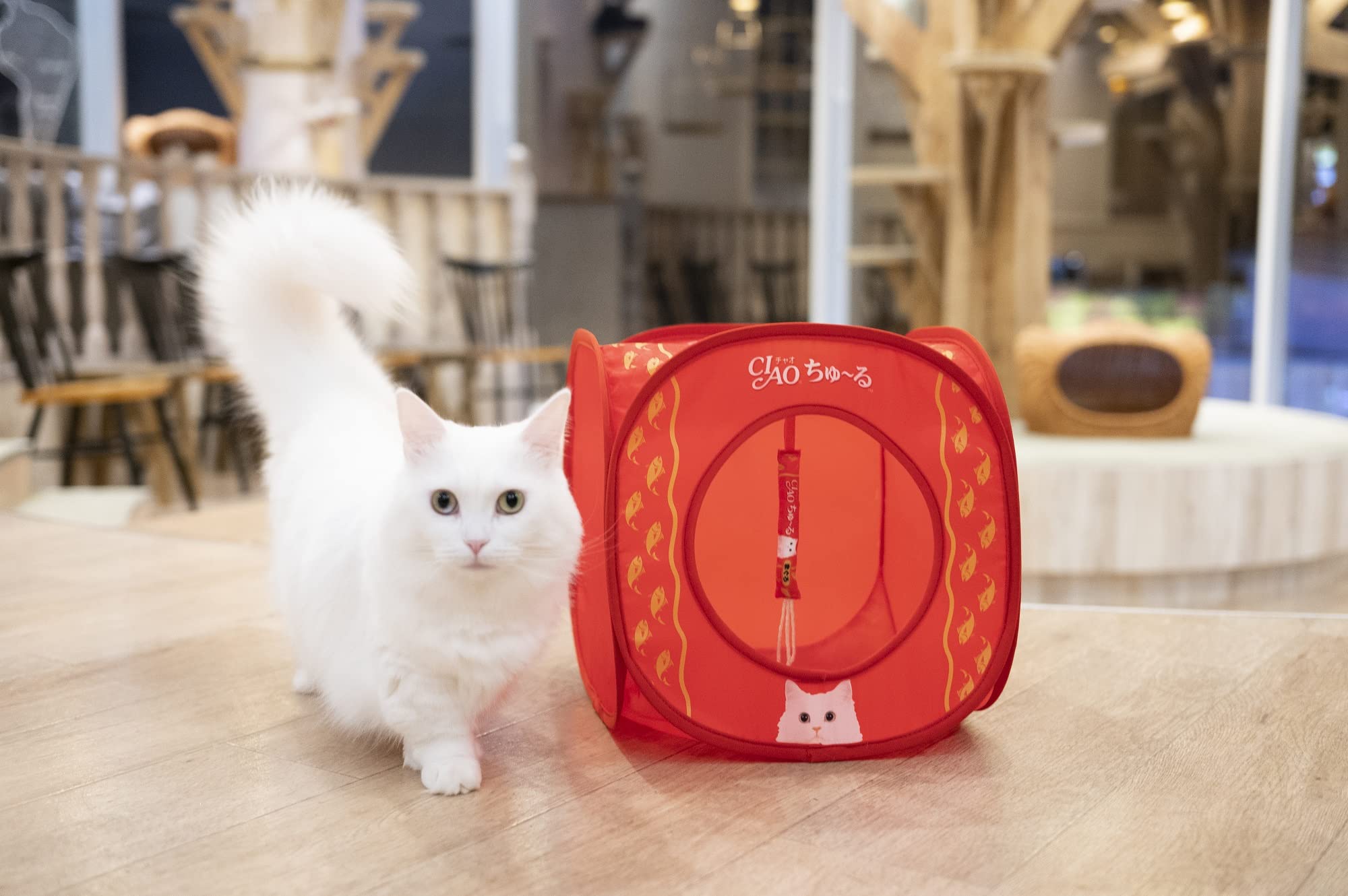 CIAO ちゅ～る 世界の猫を喜ばす キャットハウスBOOK