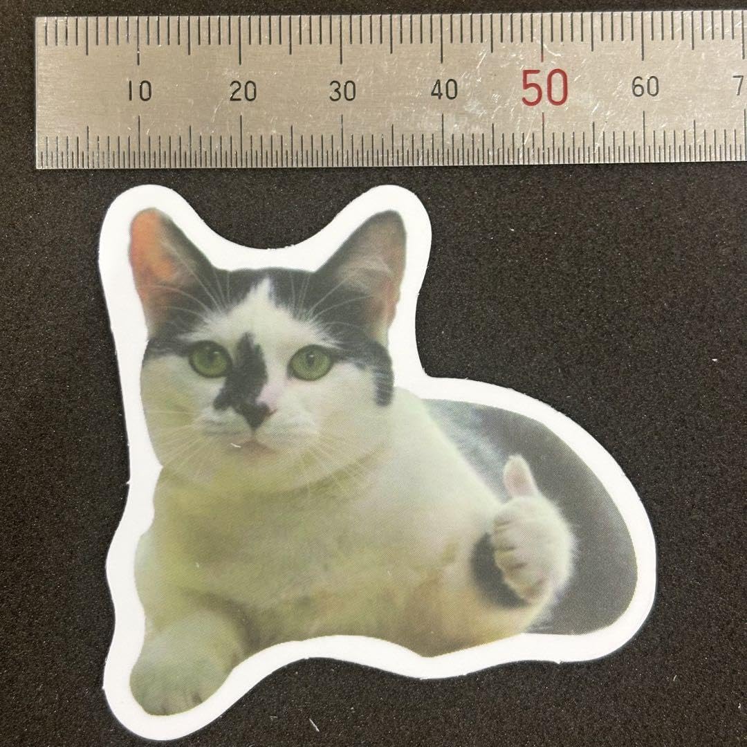 専用 です！！　　　猫ミーム mqdefault.jpg