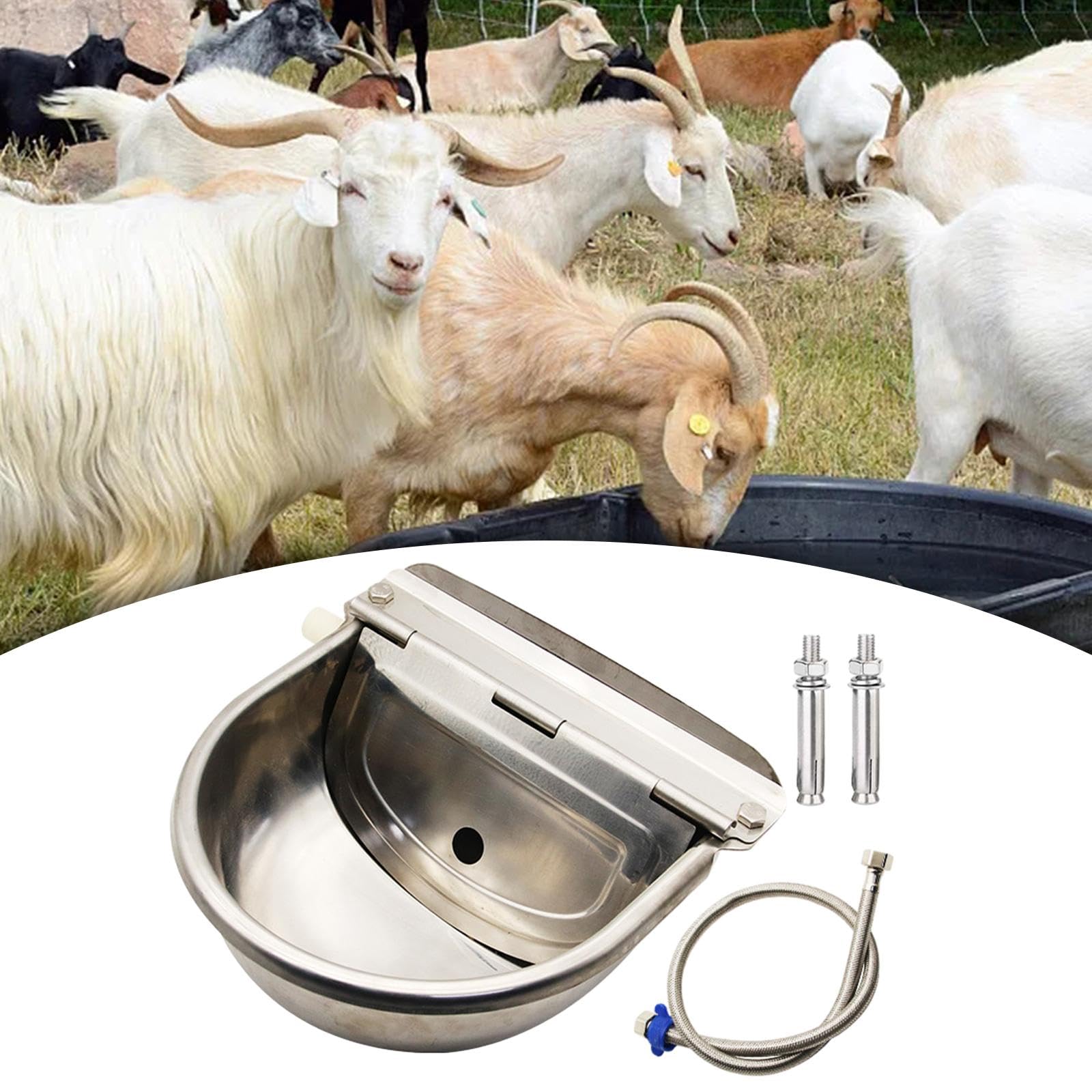 Abbeveratoio Automatico Robusto per Pecore Ciotola d'Acqua per Cani Suini Fornitura Idrica Adatto a Animali di Cortile Agricoltura, Nessun Foro con Tubo