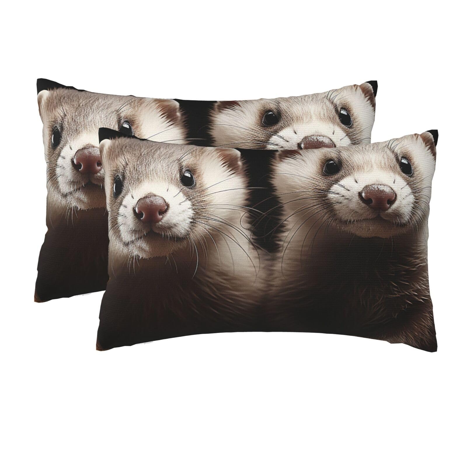 2 Pack Queen Size Pillow Cases for Hair and Skin Soft Breathable Pillow Case Covers with Hidden Zipper Ferrets Pillowcase 20x30 Inches Pillow Cover for Sleeping Gift