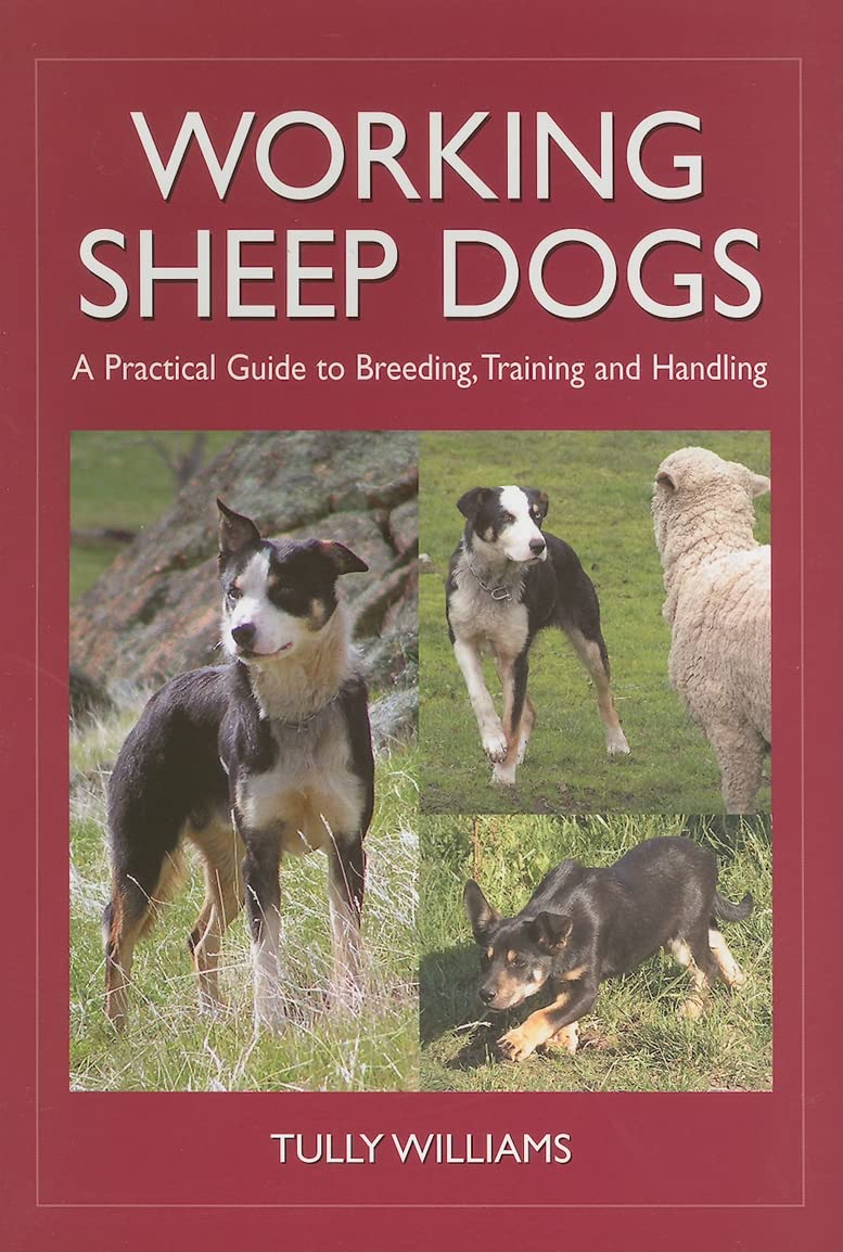 Buy Working Sheep Dogs: A Practical Guide to Breeding, Training and Handling (Landlinks Press) — BookShops.in
