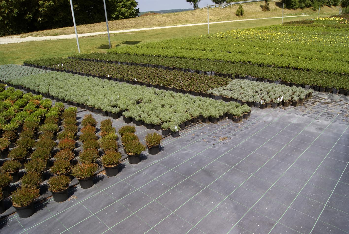 10 M² Leichtes Unkrautflies Unkrautgewebe Bändchengewebe Mulchflies Mulchgewebe Schwarz | Für Haus Und Garten - Foto 12