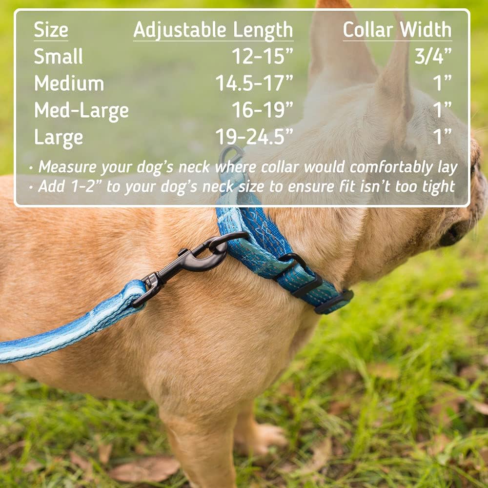 Leash Boss Martingale Patterned Reflective Collar and 6 Ft Double Handle Leash with Padded Handles, Medium-Large 16-19" Neck, Orange Blanket Pattern