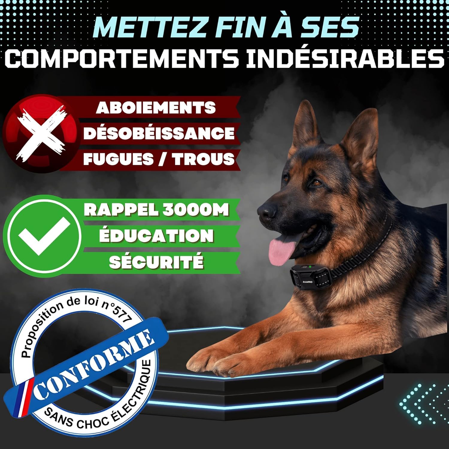 STAALGUARD Collier de Dressage pour Chien sans Choc Électrique - Animalerie