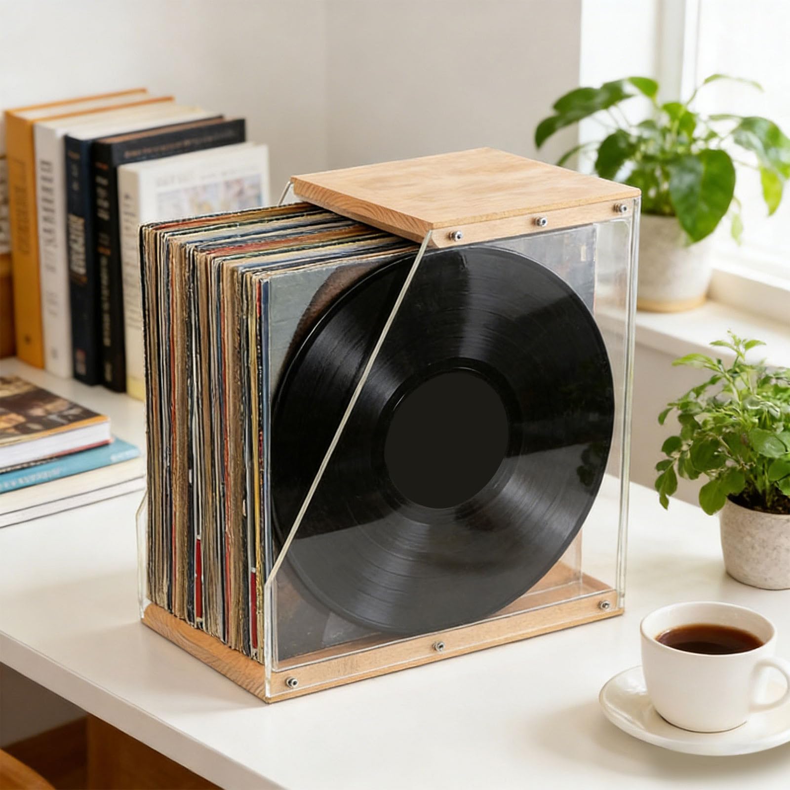 Portadischi per vinili capacità, pannelli laterali in legno e acrilico trasparente, contenitore per album e display, regalo per appassionati musica