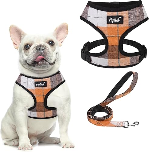 PUPTECK Juego de arnés y correa de malla suave para perro, cachorro y gato, cómodo chaleco acolchado sin tirones, naranja, S