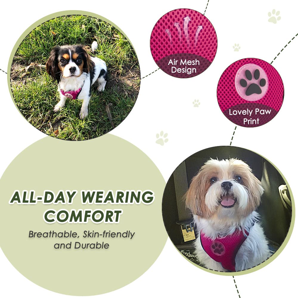 Nasjac Dog Car Harness with Seat Belts - Image 3