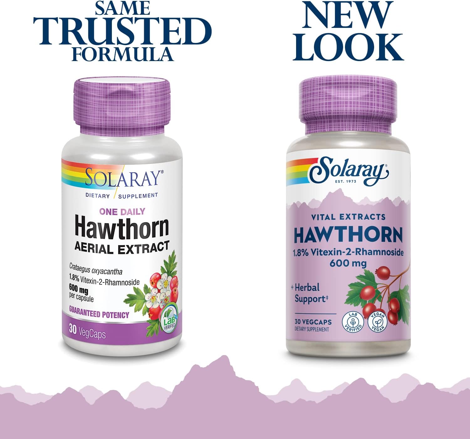 Solaray One Daily Hawthorn Extract Supplement, 600mg | 30 Count : Health & Household