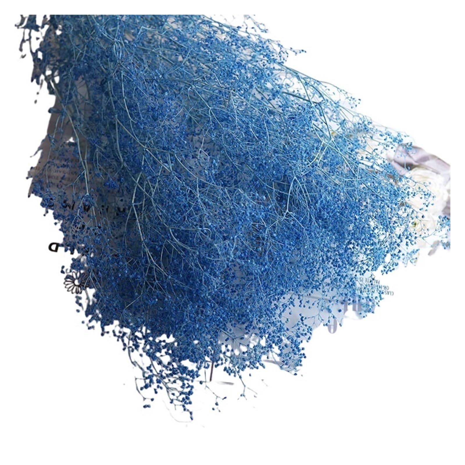 WJIAYAO dried gypsophila flowers 40g/Beautiful Dried MINI Baby Breath Wedding Decoration Gypsophila Flower Preserved Flowers for Home Office Decor(Sky blue)