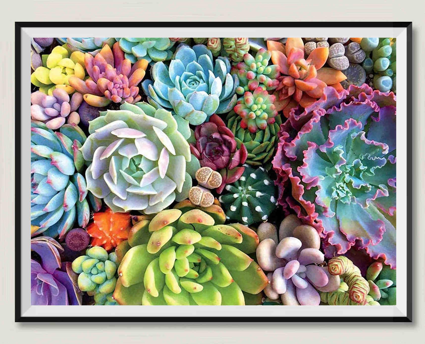 Puzzle 6000 Pezzi Piante Grasse - Legno, 218x105 Cm, Divertente E Stimolante