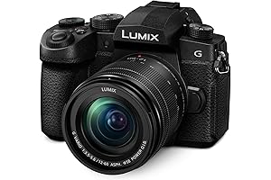 Panasonic LUMIX FZ1000 II: Captivating Moments Beyond Imagination
