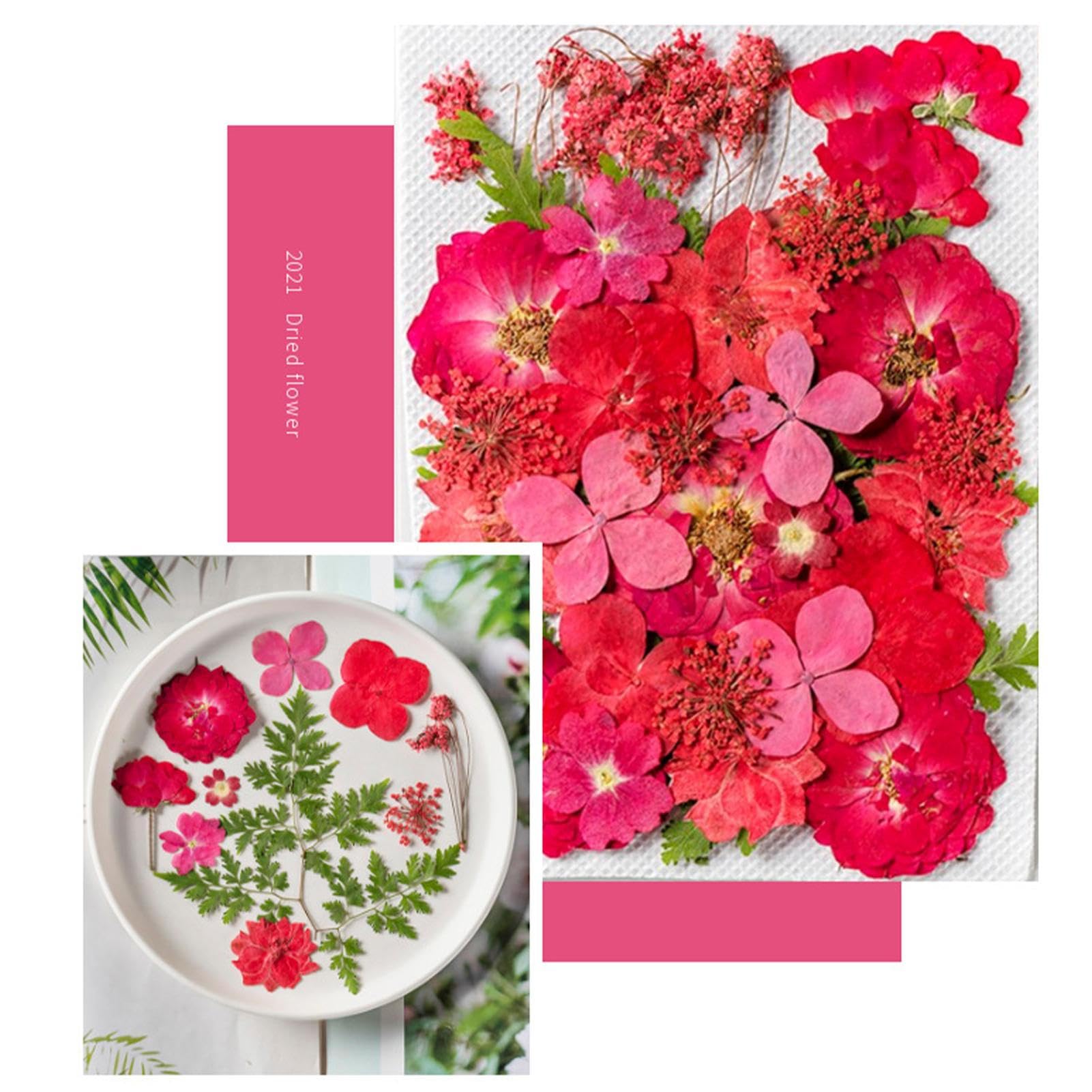 Amazon｜フレークシール 花 植物 透明 コラージュ 素材 手帳用  