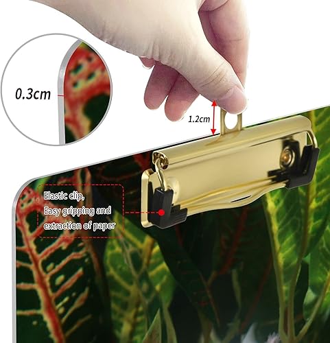 Miniatura 4 de Portapapeles acrílico Axolotl Natural Tropical A4 tamaño carta estándar con clip de metal dorado perfil bajo clip de regreso a la escuela 9 x 12.5