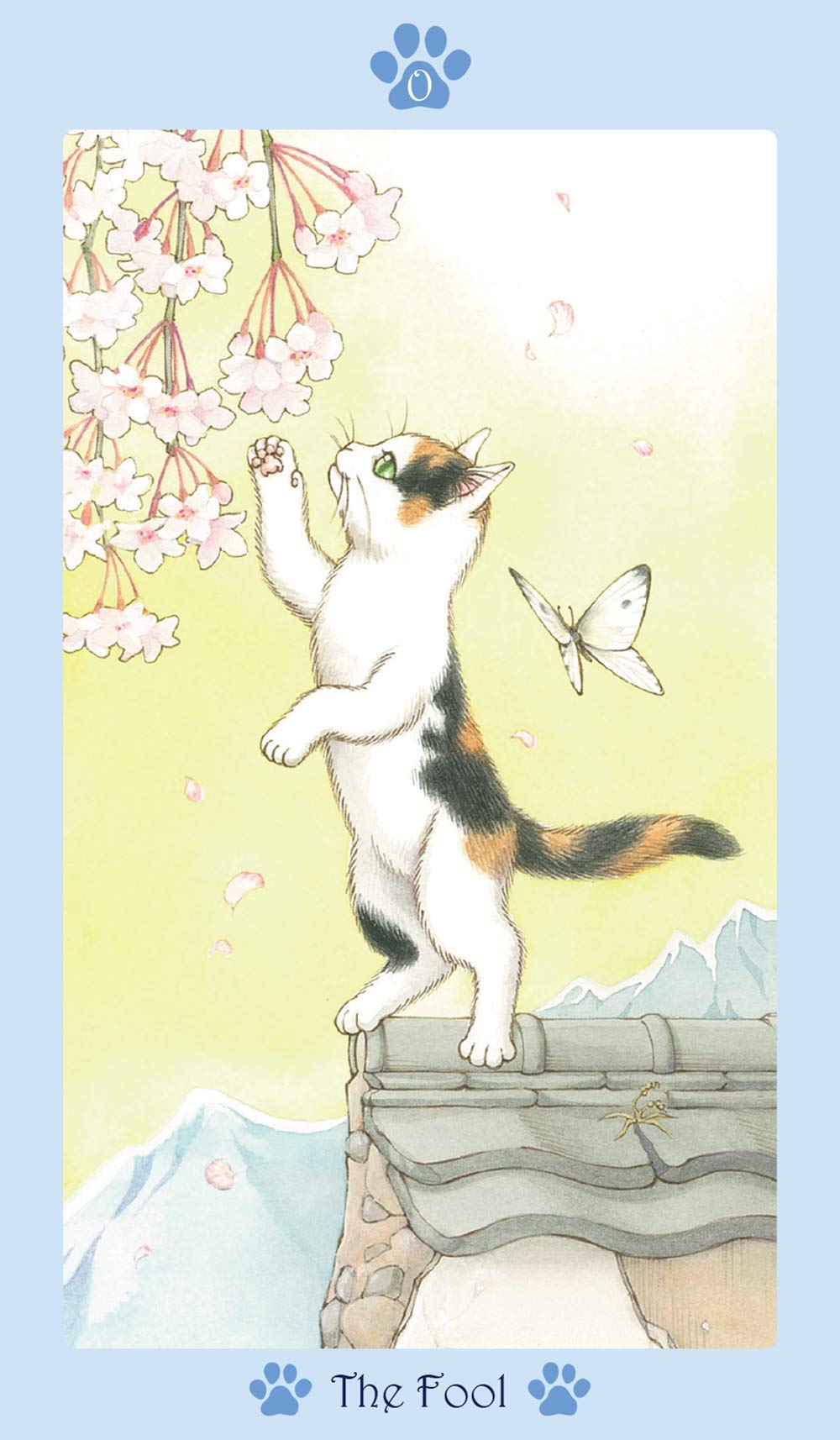 Amazon.co.jp: タロットカード タロット占い 【 キャット パウ