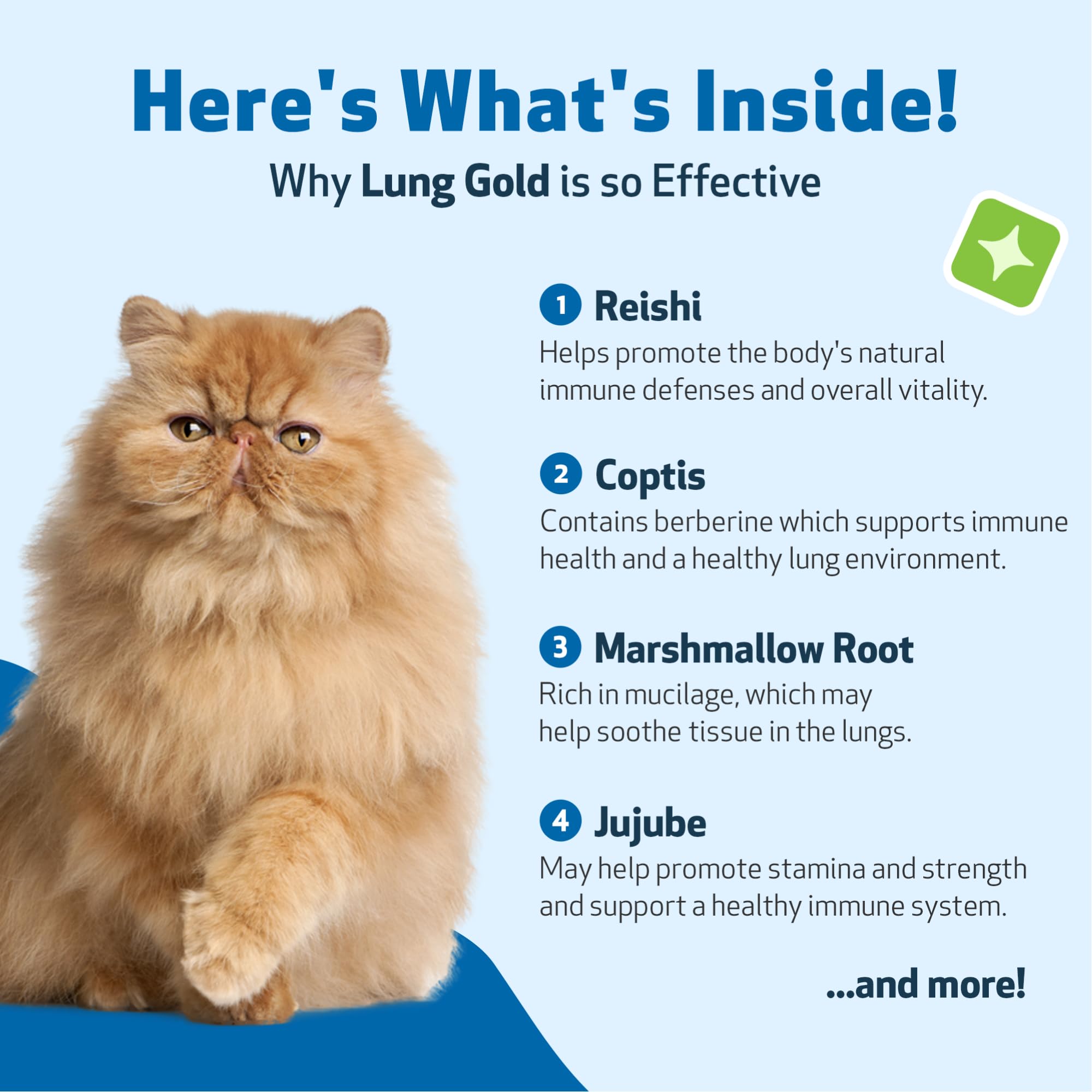 Pet Wellbeing Lung Gold for Cats - Lung & Respiratory Function, 2 oz — Amazon image 3