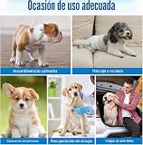 Ver la foto 7
