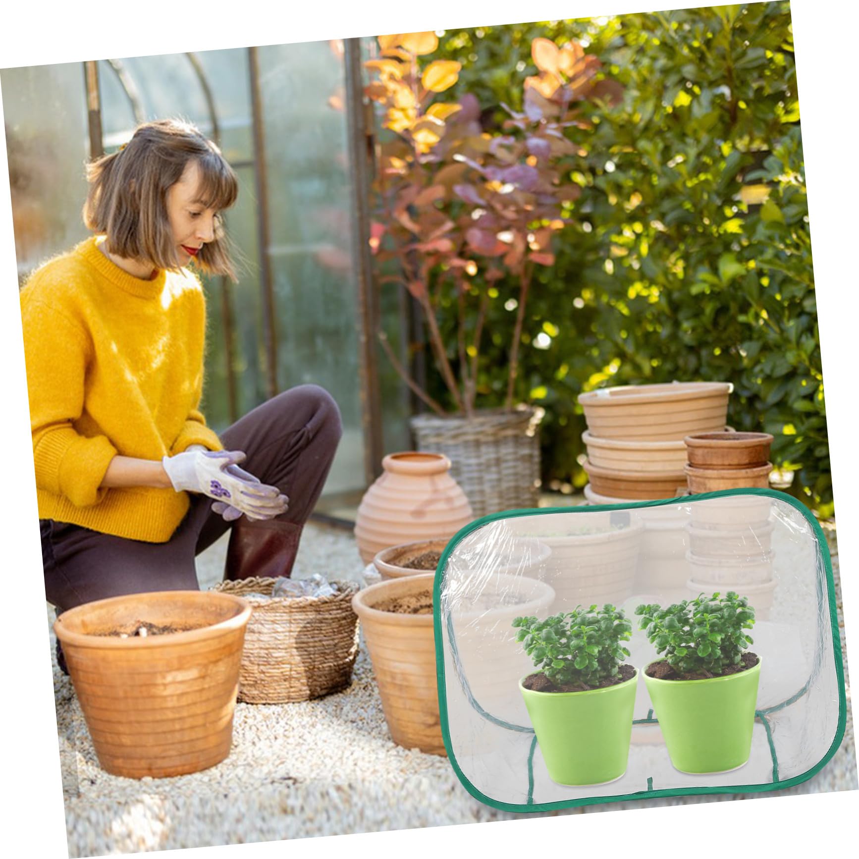 Faltbares Mini gewächshaus Transparent Dreieckig für Balkon und Garten Tragbares Pflanzenhaus zur Anzucht von Sukkulenten und Kleinen Pflanzen Platzsparend und Einfach zu