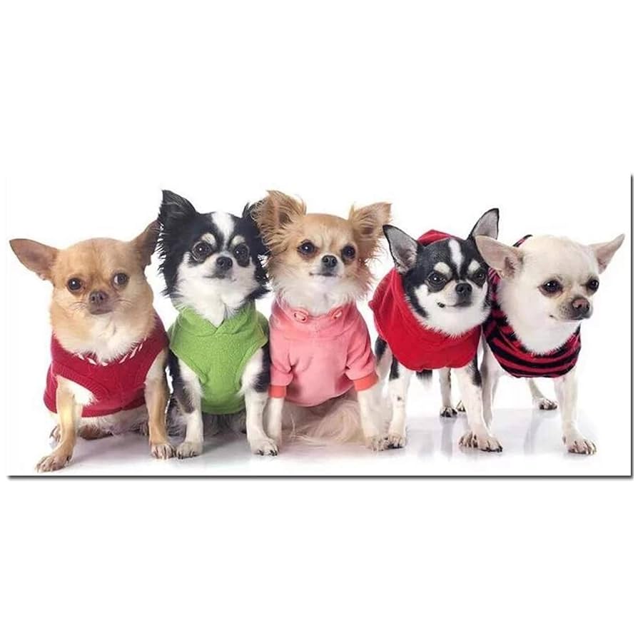 ✦希少✦未開封品✦　ジグソーパズル　動物たちのコンサート　1000ピース Amazon.co.jp: かわいいチワワパズル-ジグソーパズル大人のため