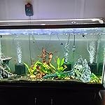 Review Image by William can milke William can milke