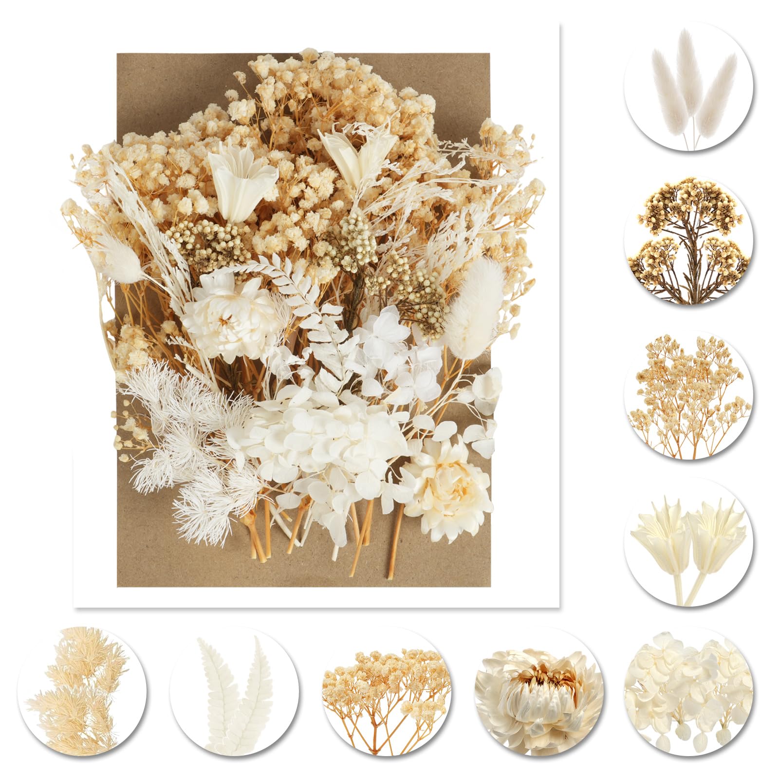 Fiori Secchi Naturali e Pressati per Artigianato, Resina, Scrapbooking, Creazione di Gioielli e Decorazioni Floreali Fai da te