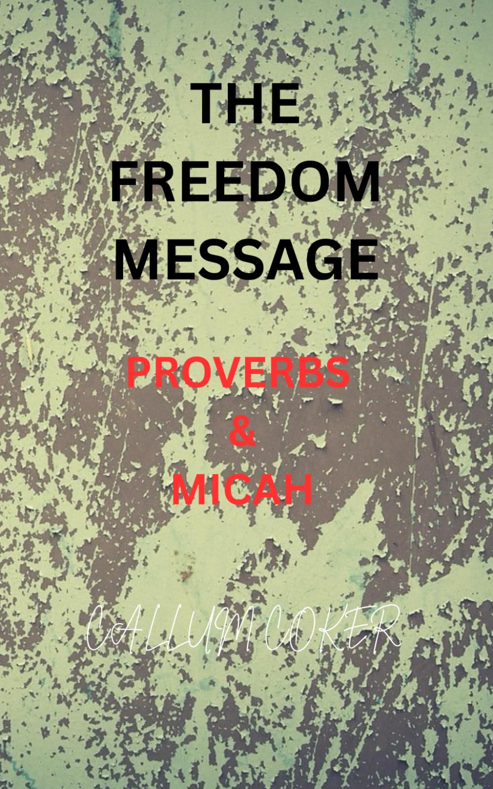 THE FREEDOM MESSAGE: MICAH & PROVERBS