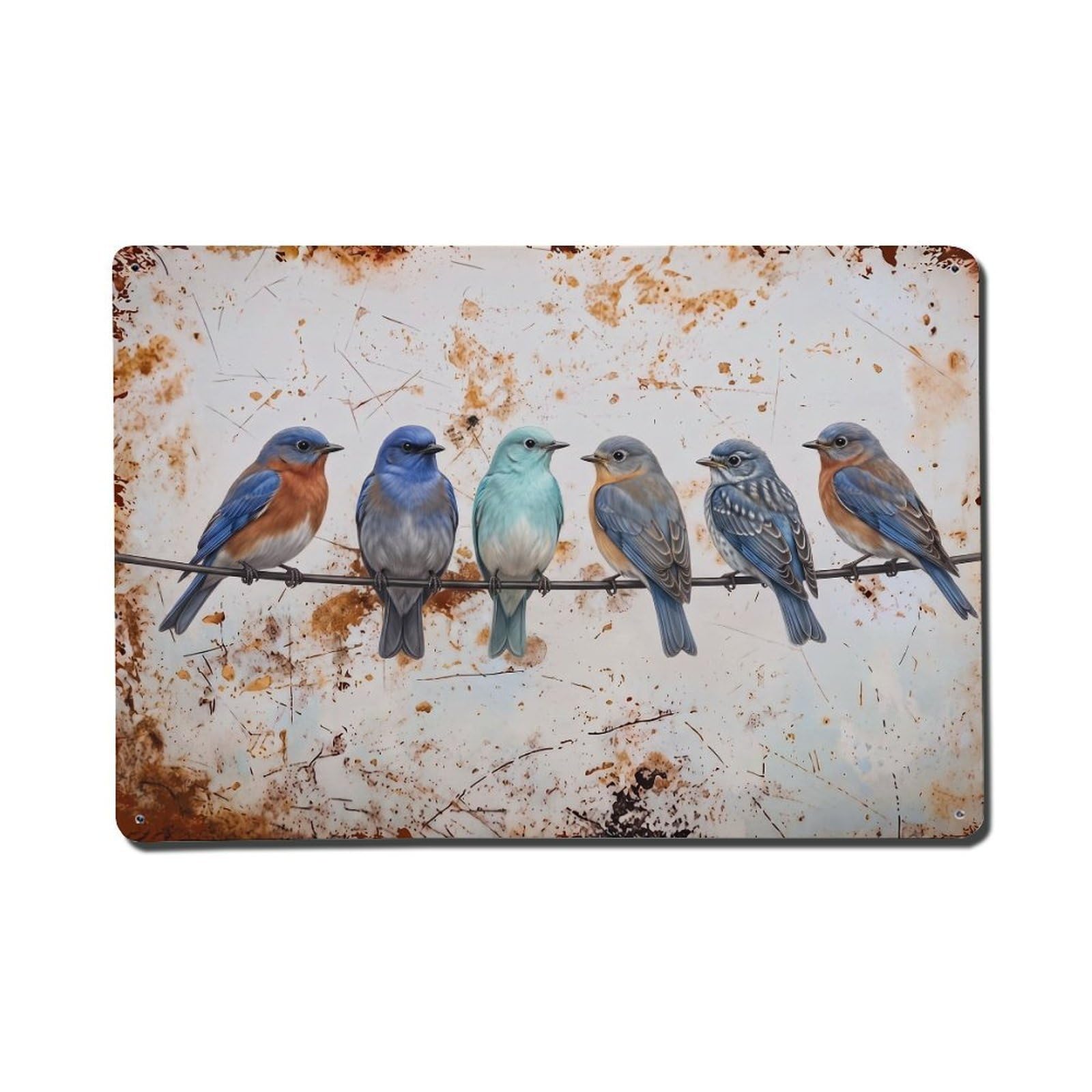 Vintage Retro Birds Bluebird Metal Tin Sign