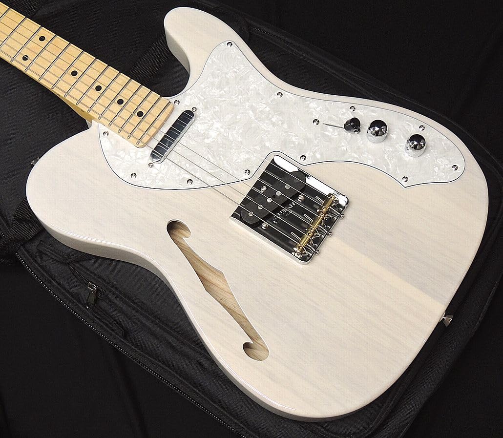 Amazon | FGN FUJIGEN NTE100MAHT WB フジゲン Neo Classic