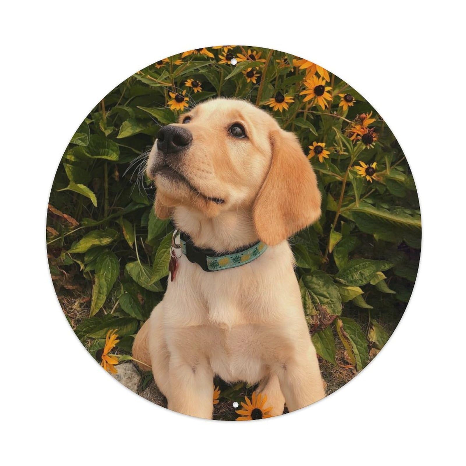 Cute Dog Sunflower Pet Animal Vintage Illustration Metal Tin Sign