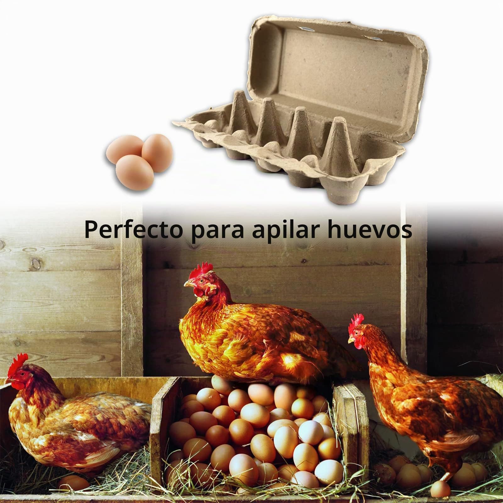 Cajas de cartón para huevos, 10 unidades, sin imprimir, con tapa, para 10 huevos, color marrón