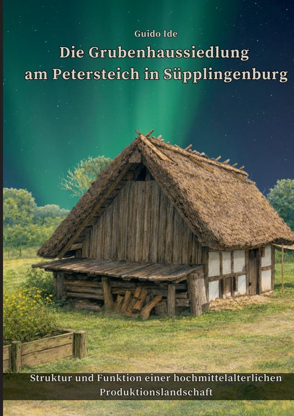 Die Grubenhaussiedlung am Petersteich in Süpplingenburg: Struktur und Funktion einer hochmittelalterlichen Produktionslandschaft in Ostfalen