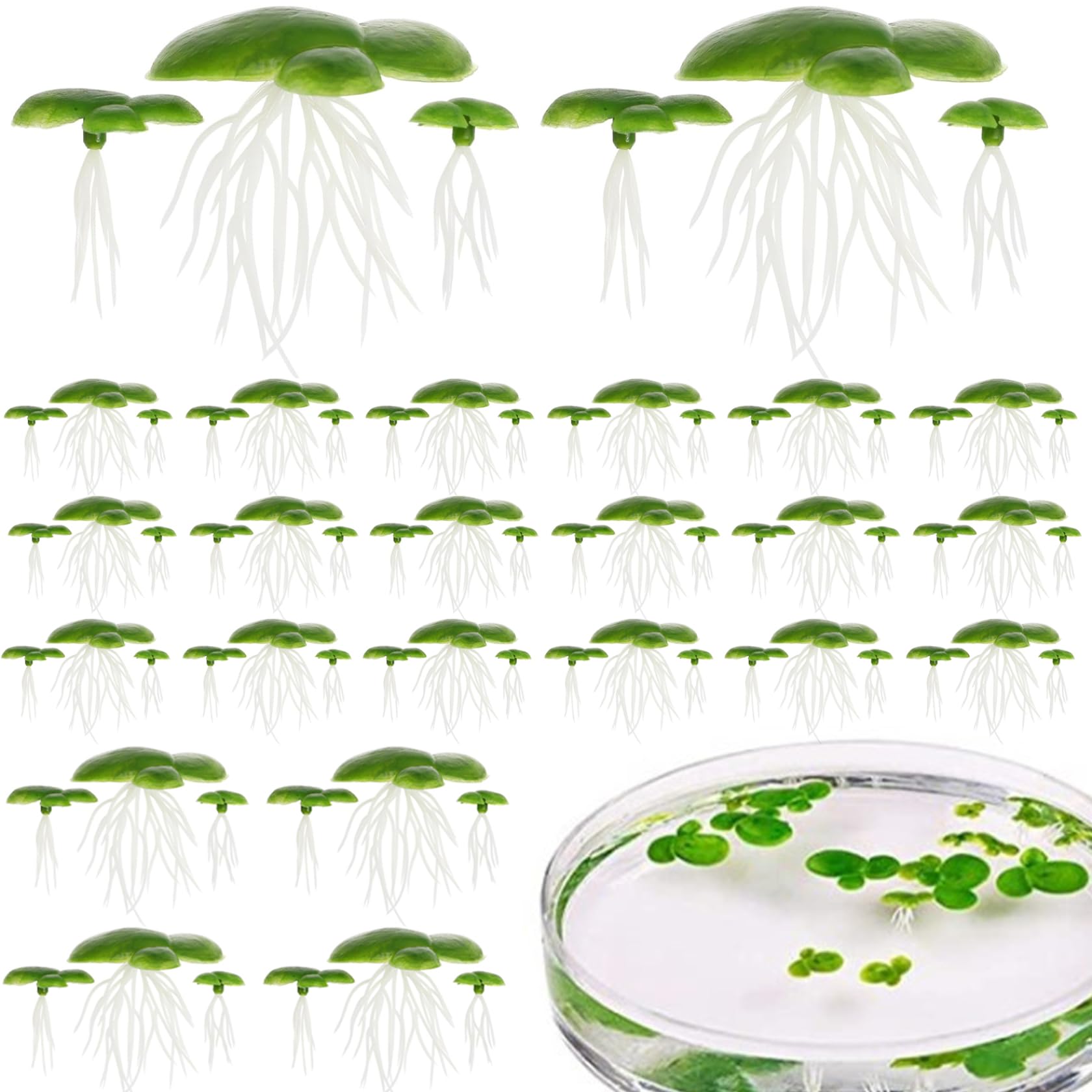 Xdyyjrasa Green Plastic Pond Plants With Leaves & Roots 72Pcs – Floating Duckweed Aquarium Plants For Indoor Outdoor