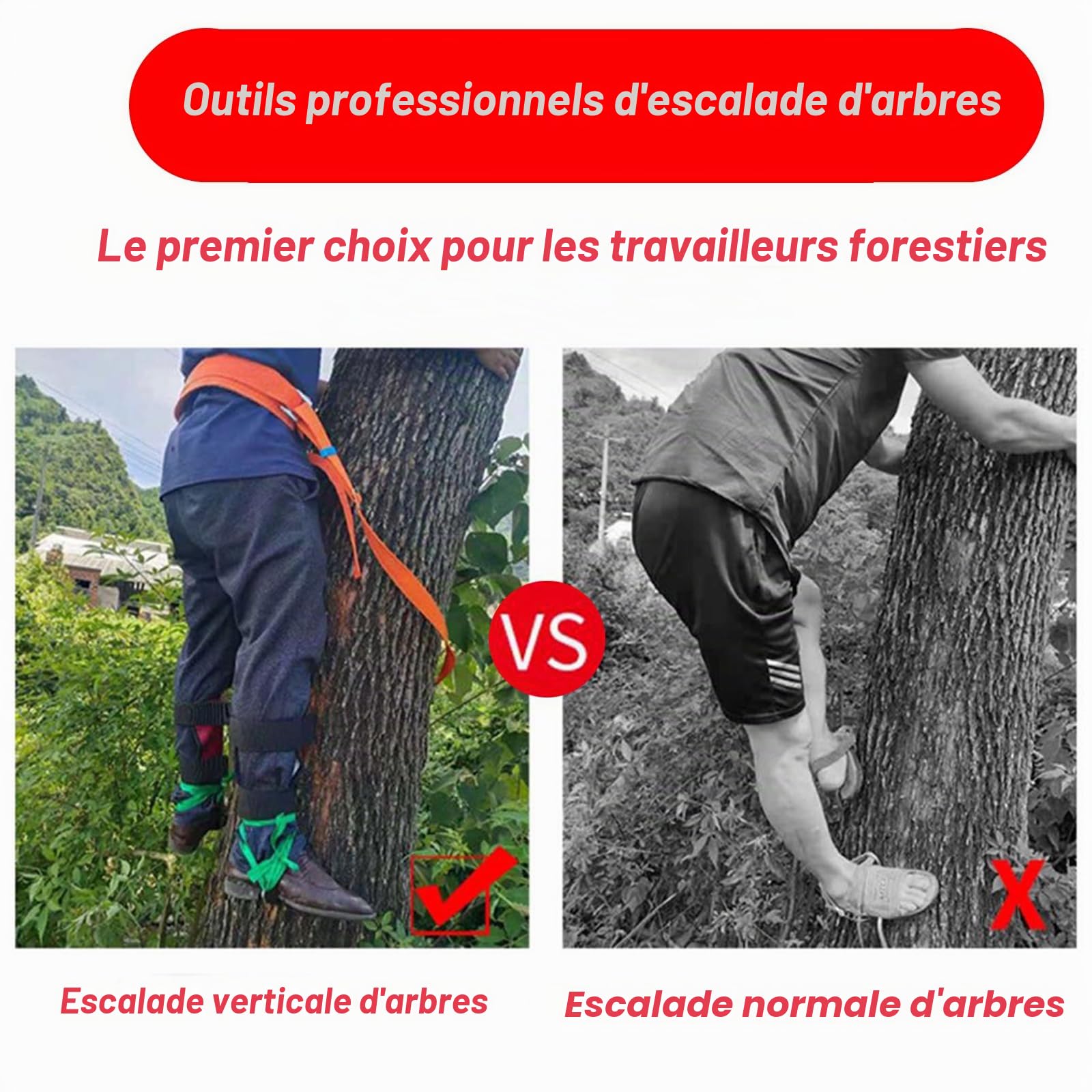 Crampons Escalade Arbre, équipement antidérapant et kit forestier pour chaussures d'escalade et camping