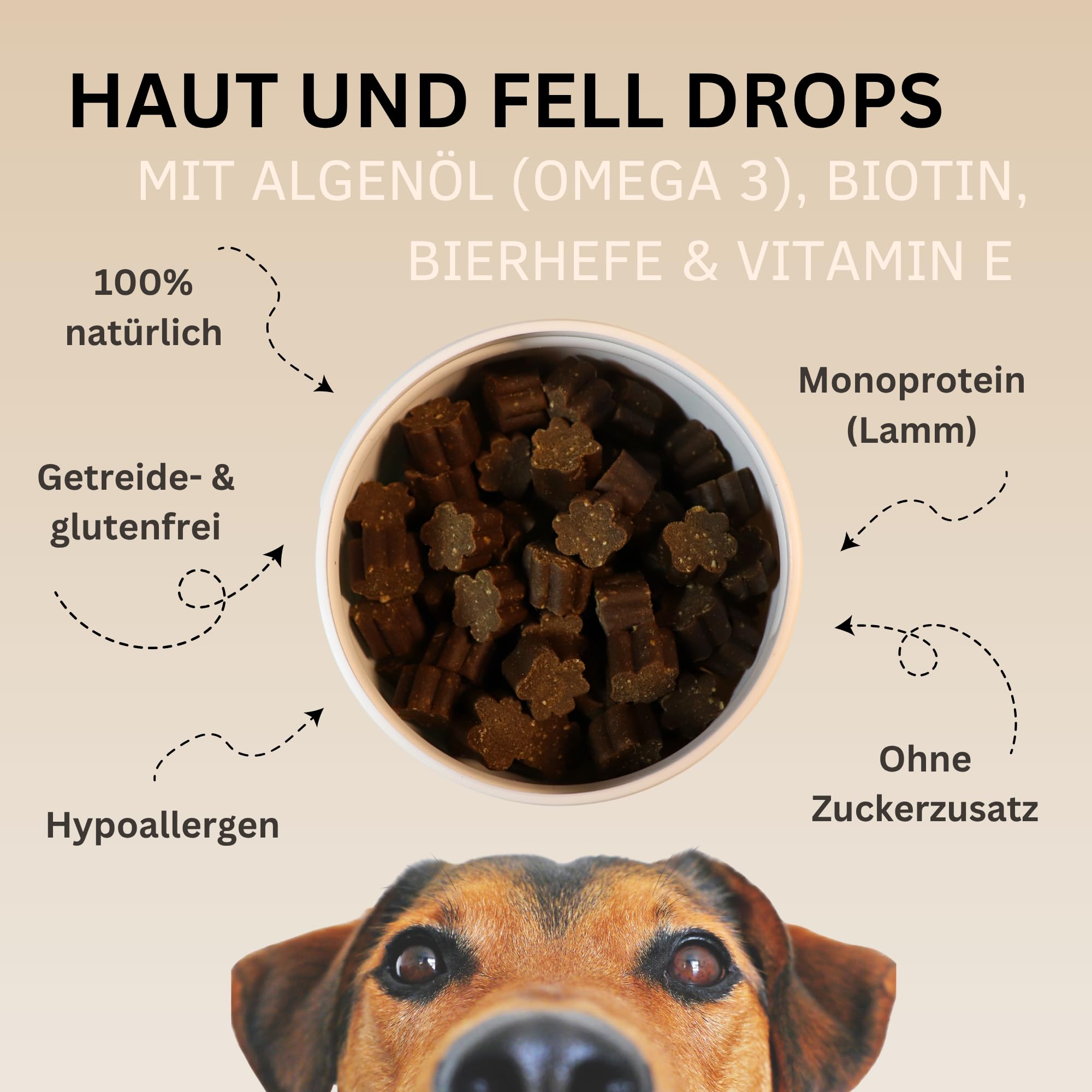 Haut & Fell Drops mit Algenöl (Omega 3) für Hunde I gegen Juckreiz, Haarausfall & trockene Haut I für glänzendes Fell mit Biotin, Bierhefe, Vitamin E I 100% natürlich I ca. 120 STK.