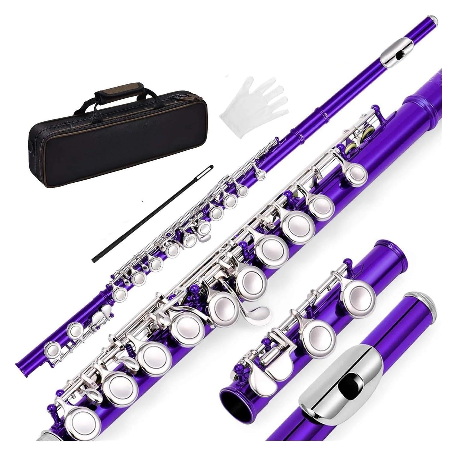 Flauto Traverso Foro chiuso Chiave C Flauti Strumenti musicali 16 fori(PURPLE)